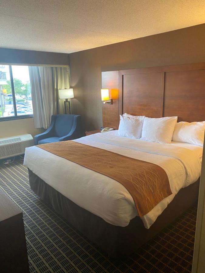 Comfort Inn Springfield Ngoại thất bức ảnh